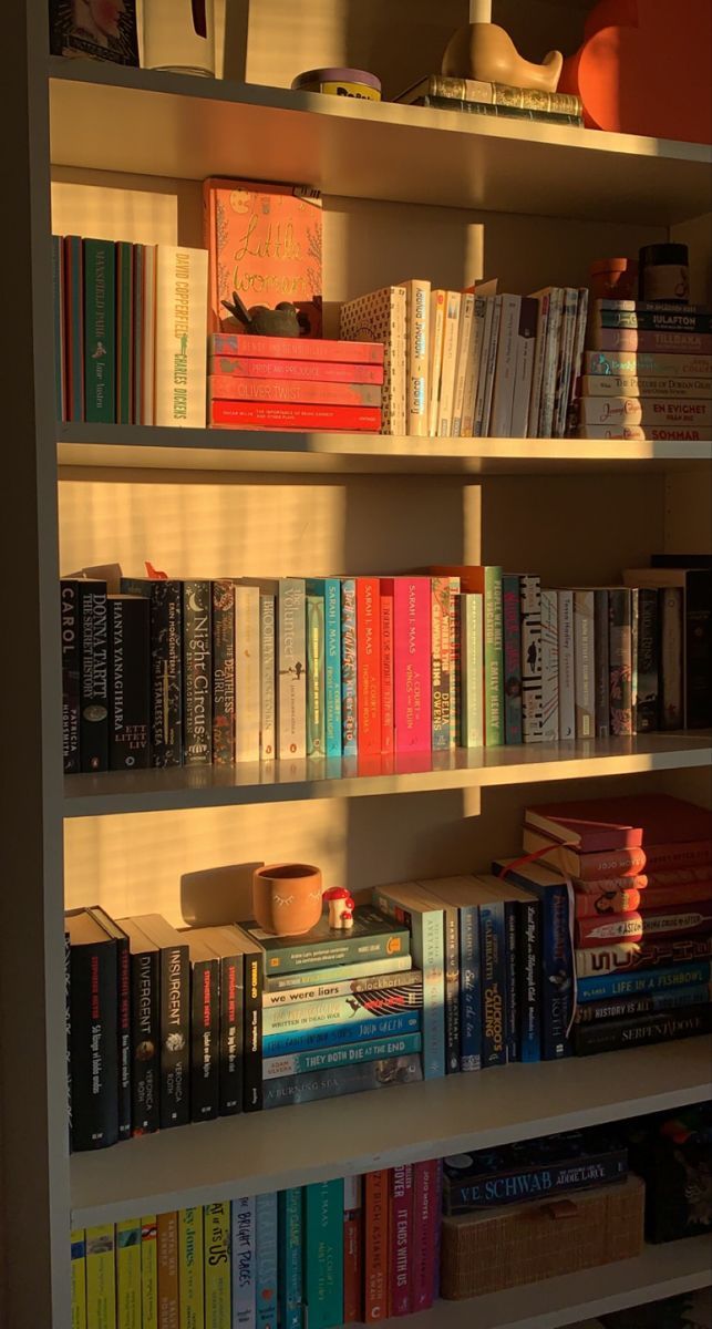 Livros